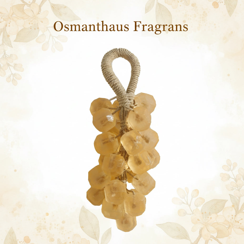 DIY Crystal Grape Handmade Soap Gift Set | Gem-Style Transparent Grape Soaps | Floral Scent