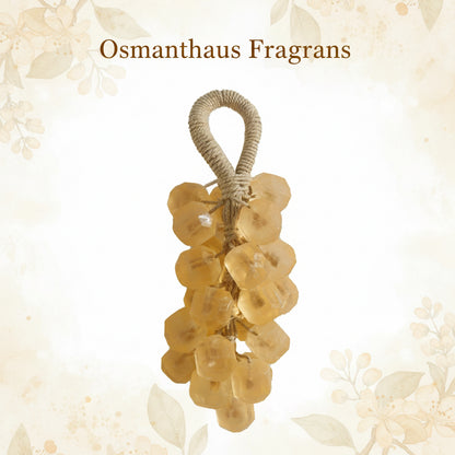 DIY Crystal Grape Handmade Soap Gift Set | Gem-Style Transparent Grape Soaps | Floral Scent