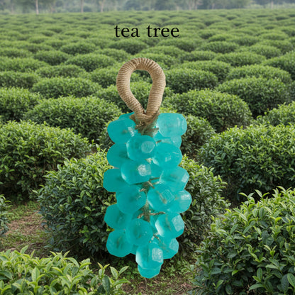 DIY Crystal Grape Handmade Soap Gift Set | Gem-Style Transparent Grape Soaps | Floral Scent